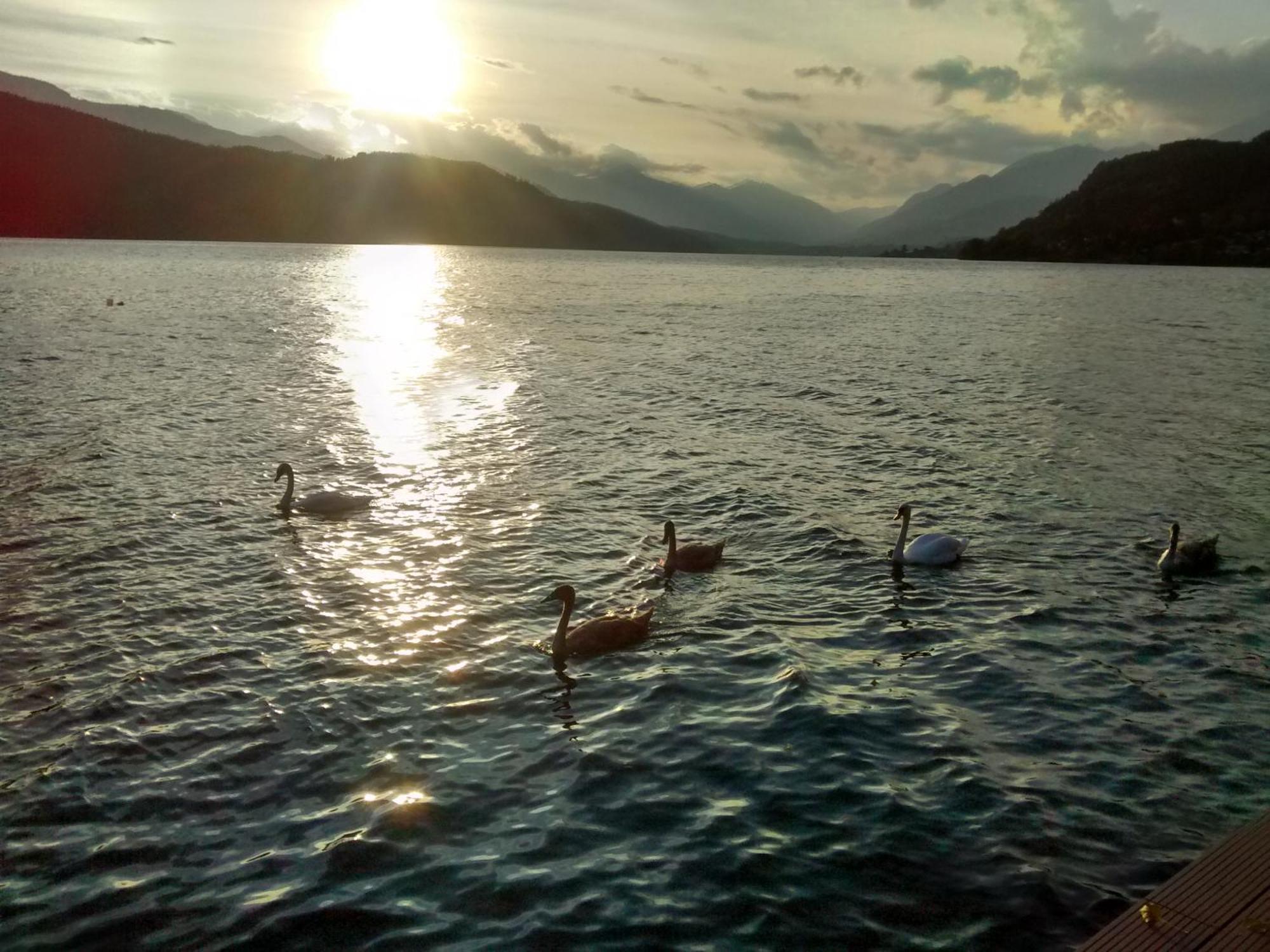 Ferienwohnungen Fischerhaus - Direkt Am See Millstatt Dış mekan fotoğraf