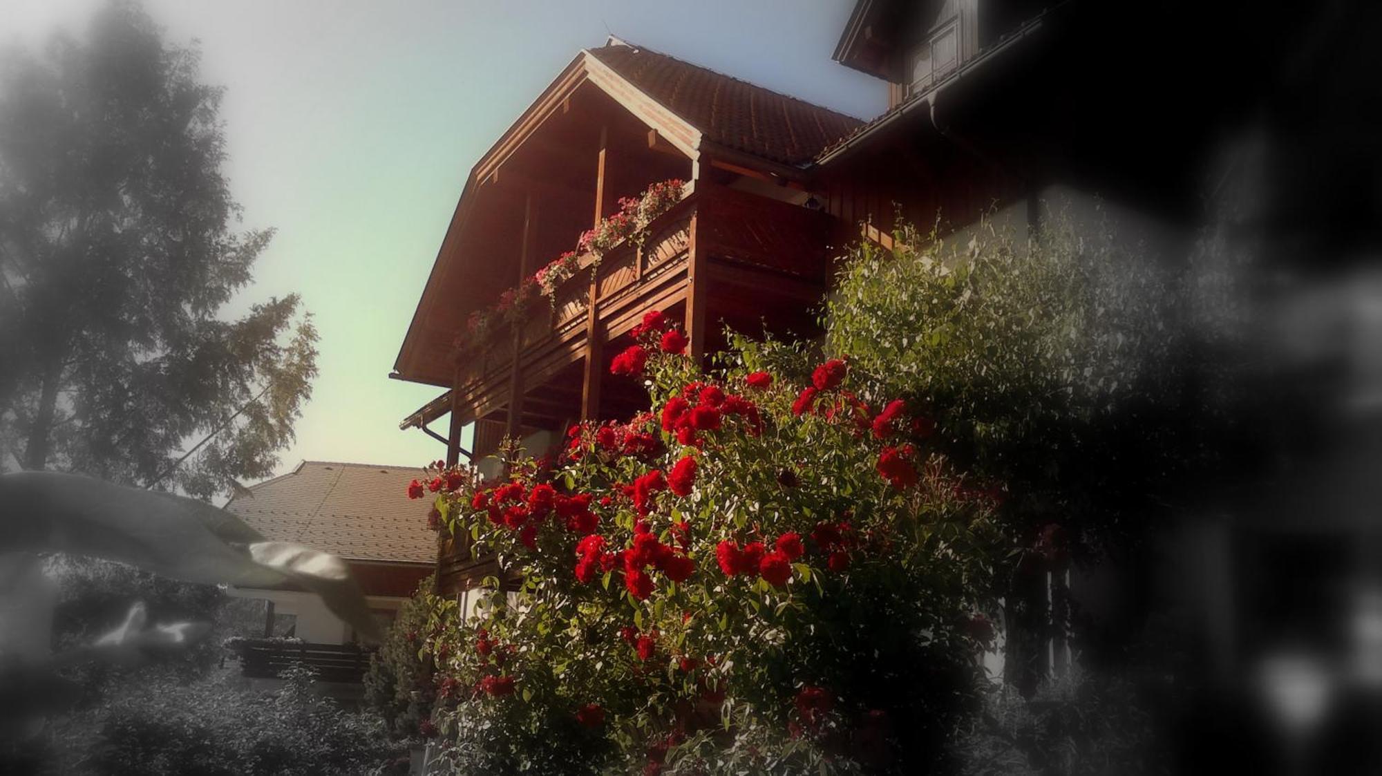 Ferienwohnungen Fischerhaus - Direkt Am See Millstatt Dış mekan fotoğraf