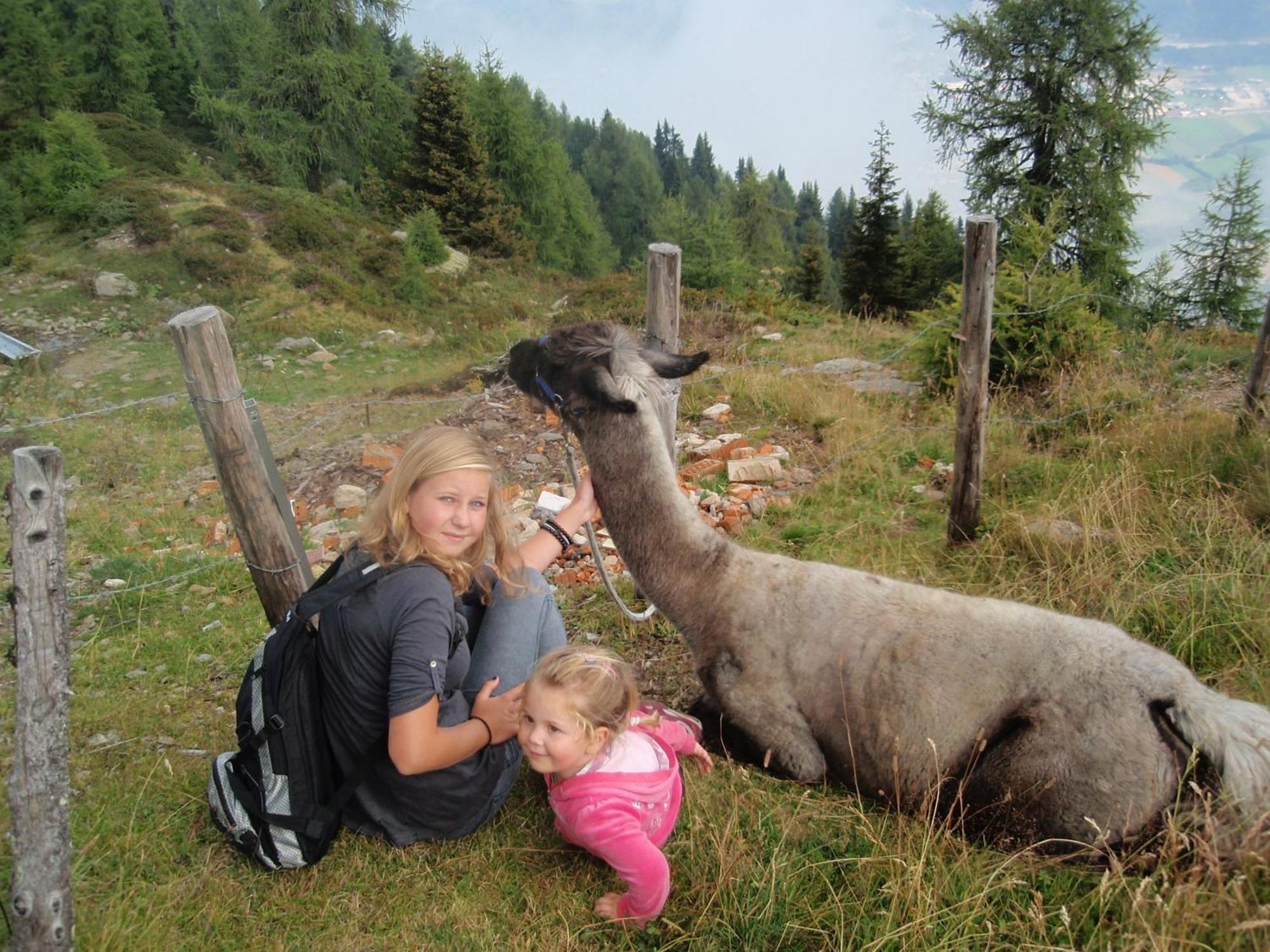 Ferienwohnungen Fischerhaus - Direkt Am See Millstatt Dış mekan fotoğraf