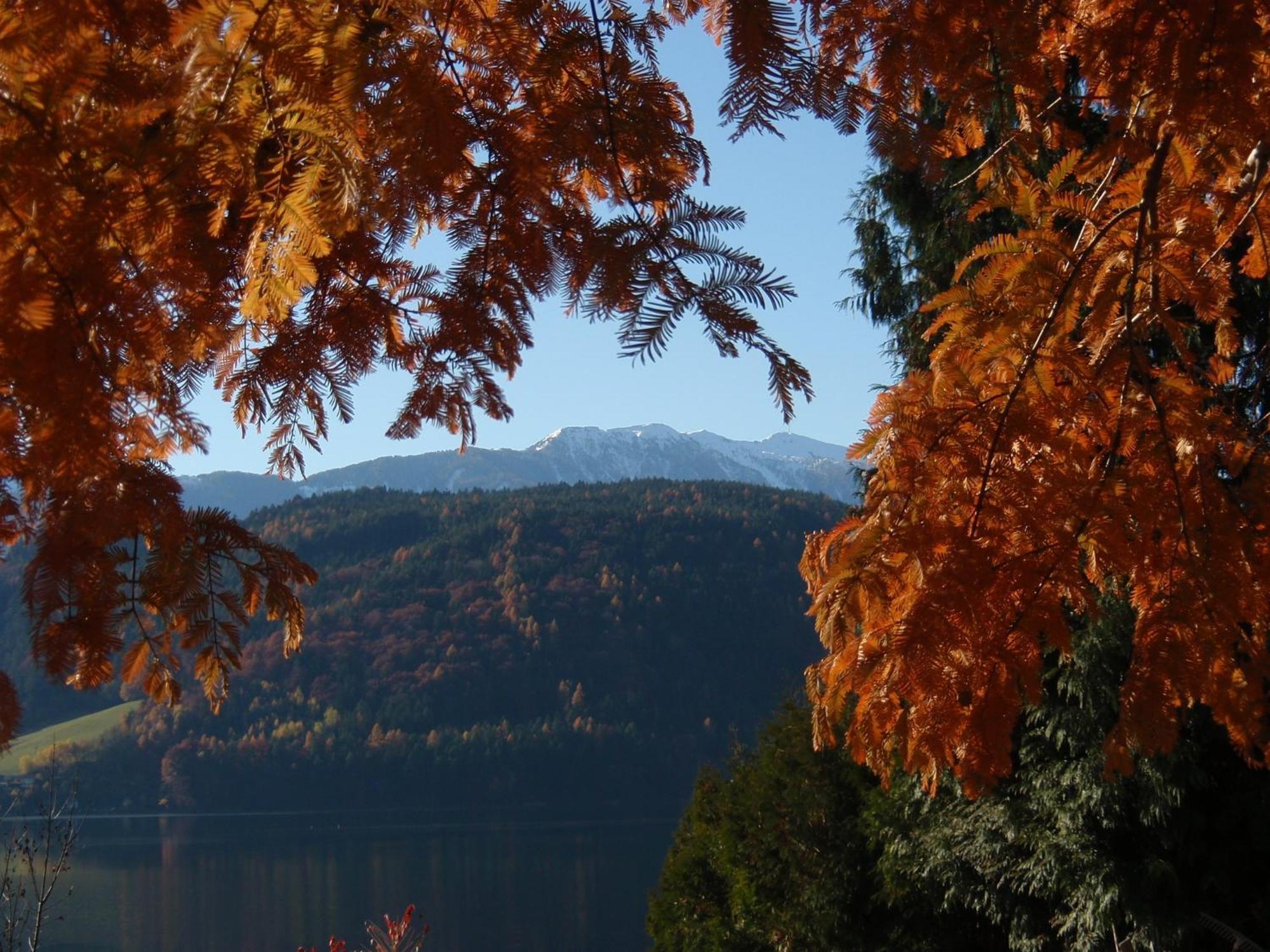 Ferienwohnungen Fischerhaus - Direkt Am See Millstatt Dış mekan fotoğraf